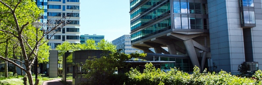 Contact Us Amsterdam